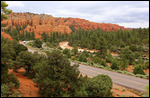 Dixie National Forest