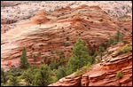 Sur la scenic road en direction de Bryce