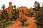 Dixie National Forest