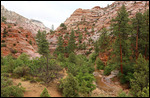 Sur la scenic road en direction de Bryce