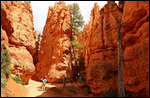 Navajo loop trail - Two bridges path