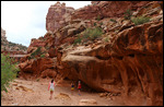 Capitol Reef Grand Wash trail