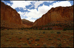 Capitol Reef Grand Wash trail