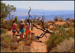 Dans la Skyline Arch Trail