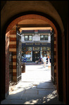 Allée entre le campus de Harvard et Massachusetts 