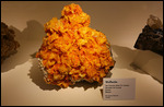 Wulfenite au musée d'histoire naturelle