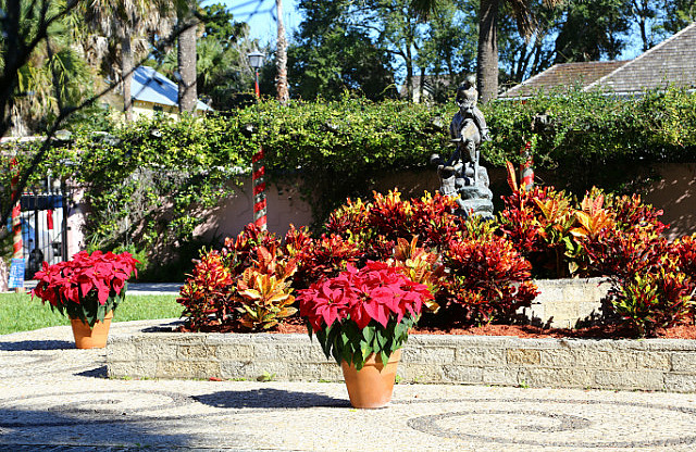 Jardin privé au coeur du quartier historique