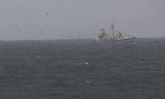 Bateau de pêche