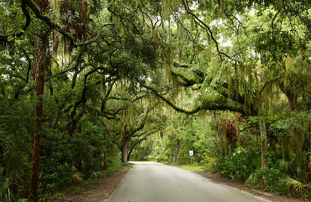 Route du state park de Fort Clinch