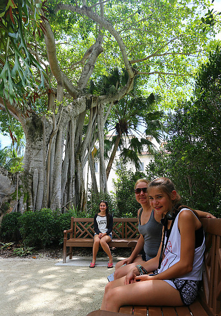 Les filles et le Banyan tree