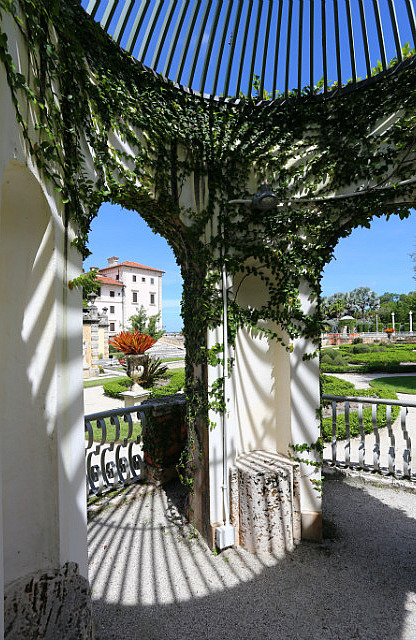 Vue sur la plantation