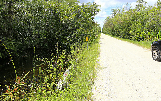 Vue de la Loop road