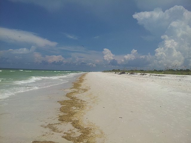 la plage Tigertail après avoir traversé le lagon