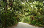 Route du state park de Fort Clinch