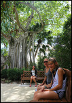 Les filles et le Banyan tree