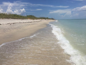 Stump Pass beach