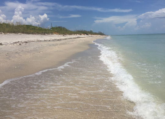 Stump Pass beach