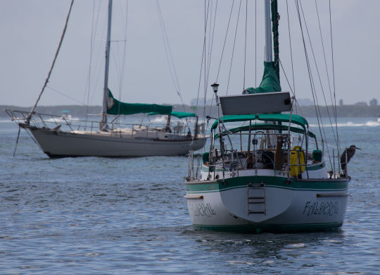 Voiliers à l'ancrange dans la Sarasota Bay