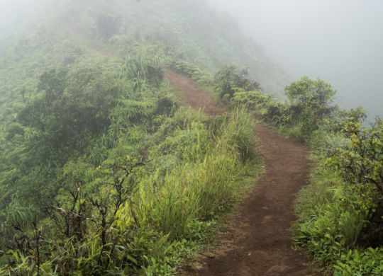 Waihee Ridge Trail